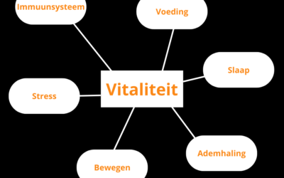 KB reset programma volgens 6 domeinen