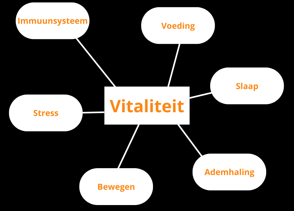 KB reset programma volgens 6 domeinen