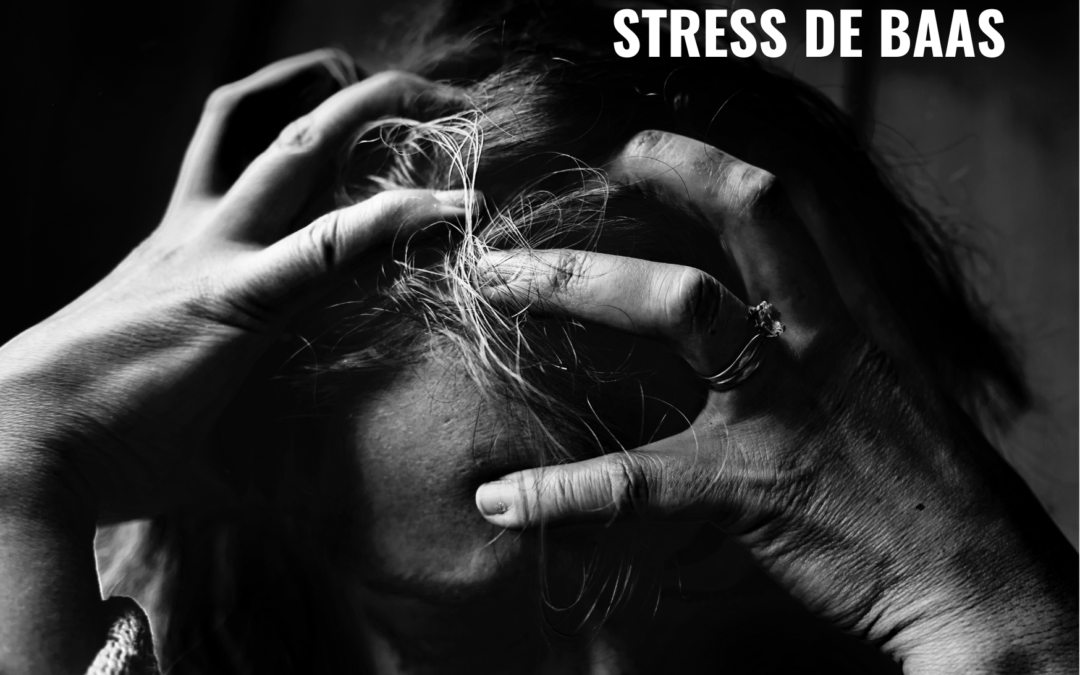 Stress de baas